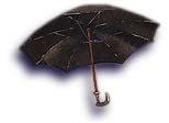 Brolly