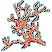 Coral